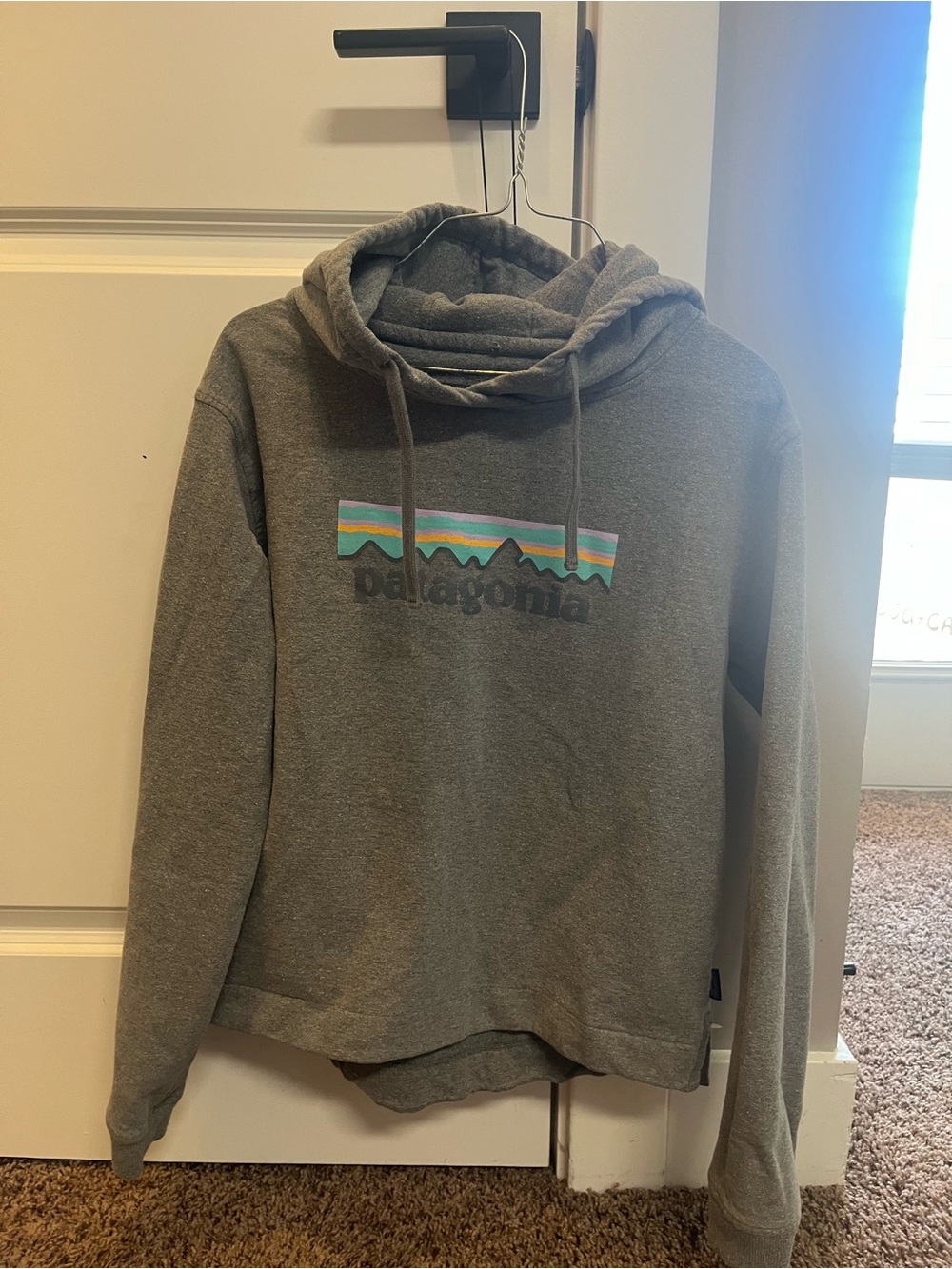 Patagonia Men's Gray Pullover Hoodie with Logo